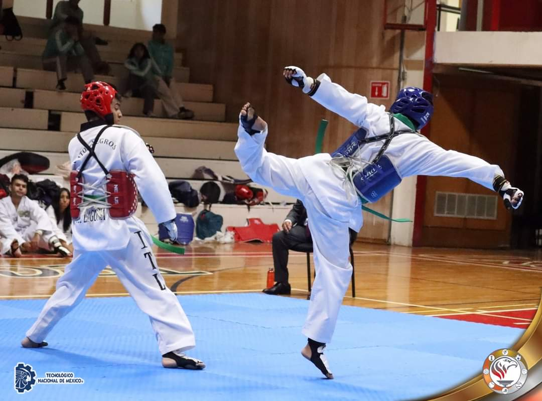 Taekwondo